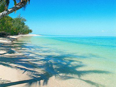 Bedarra Island Hotel Great Barrier Reef Esterno foto
